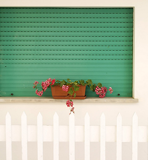 COLORFULL WINDOWS